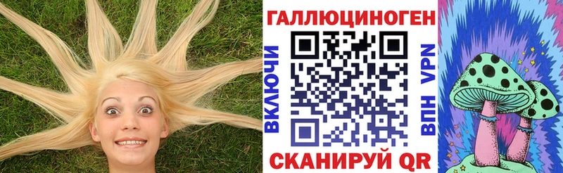 Псилоцибиновые грибы прущие грибы Купить где Магадан